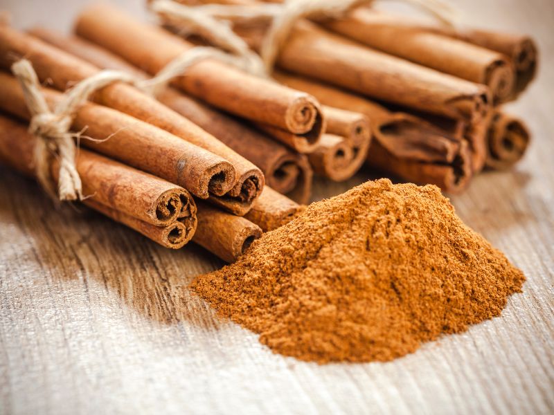 hanoi-cinnamon-supplier-leading-in-innovative-farming-method-2