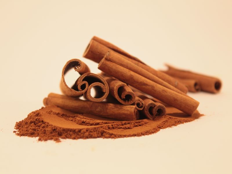 hanoi-cinnamon-supplier-leading-in-innovative-farming-method-1