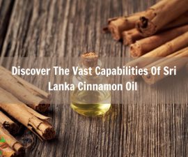 discover-the-vast-capabilities-of-sri-lanka-cinnamon-oil