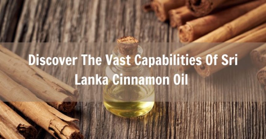 discover-the-vast-capabilities-of-sri-lanka-cinnamon-oil