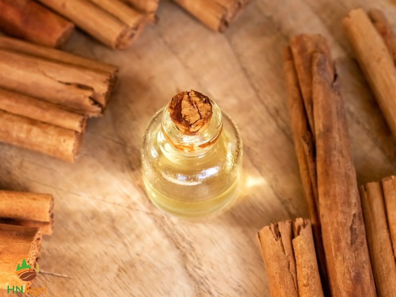 discover-the-vast-capabilities-of-sri-lanka-cinnamon-oil-2