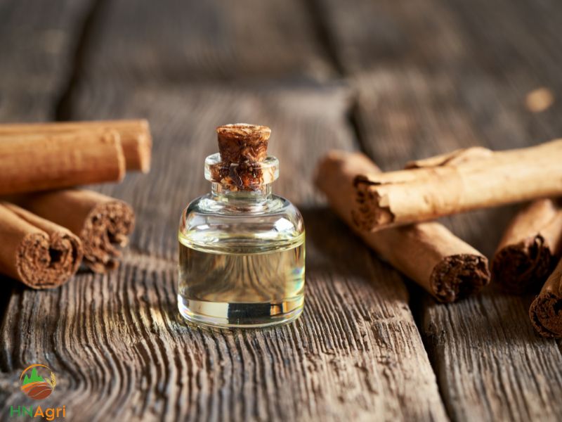 discover-the-vast-capabilities-of-sri-lanka-cinnamon-oil-1