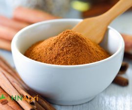 harnessing-the-potential-of-ground-cinnamon-in-bulk-1