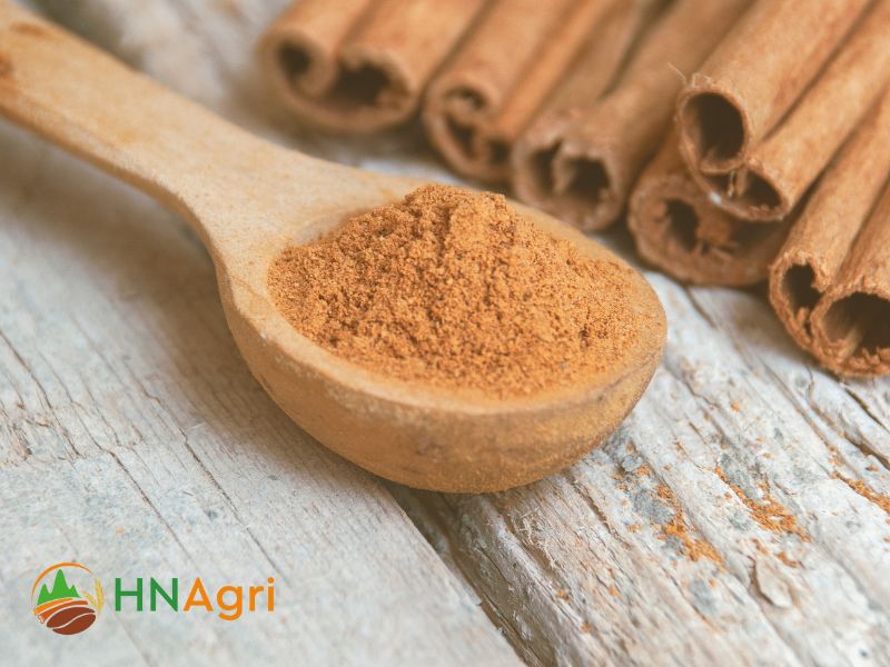 harnessing-the-potential-of-ground-cinnamon-in-bulk-2