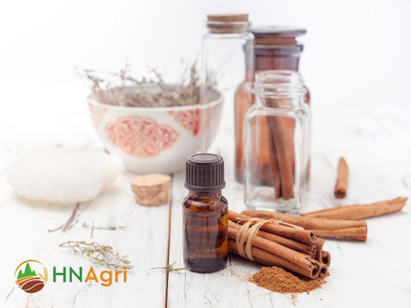 cinnamon-oil-natures-fragrant-elixir-for-well-being-and-beyond-3