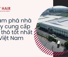 kham-pha-nha-may-cung-cap-toc-tho-tot-nhat-viet-nam-1